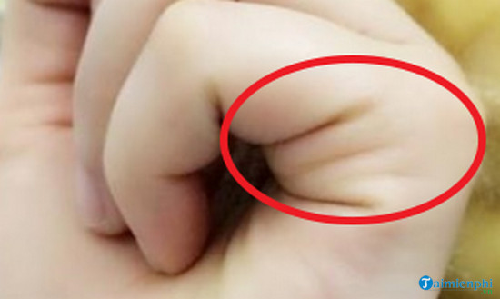 Nắm bàn tay rồi đếm đường chỉ, bao giờ giàu nhìn cái ra ngay - Hình 2 Nam ban tay roi dem duong chi, bao gio giau nhin cai ra ngay-Hinh-2