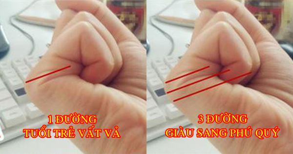 Nắm bàn tay rồi đếm đường chỉ, bao giờ giàu nhìn cái ra ngay - Hình 7 Nam ban tay roi dem duong chi, bao gio giau nhin cai ra ngay-Hinh-7