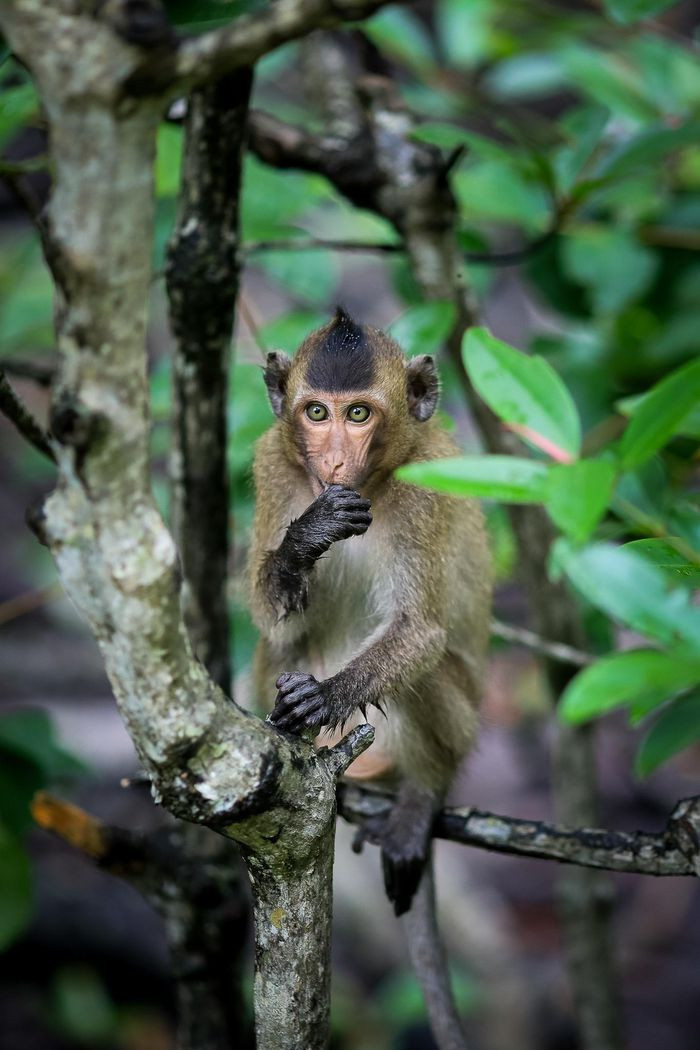 Nơi đây không quá tấp nập, nhộn nhịp mà níu chân lữ khách nhờ khoảnh khắc bình yên.