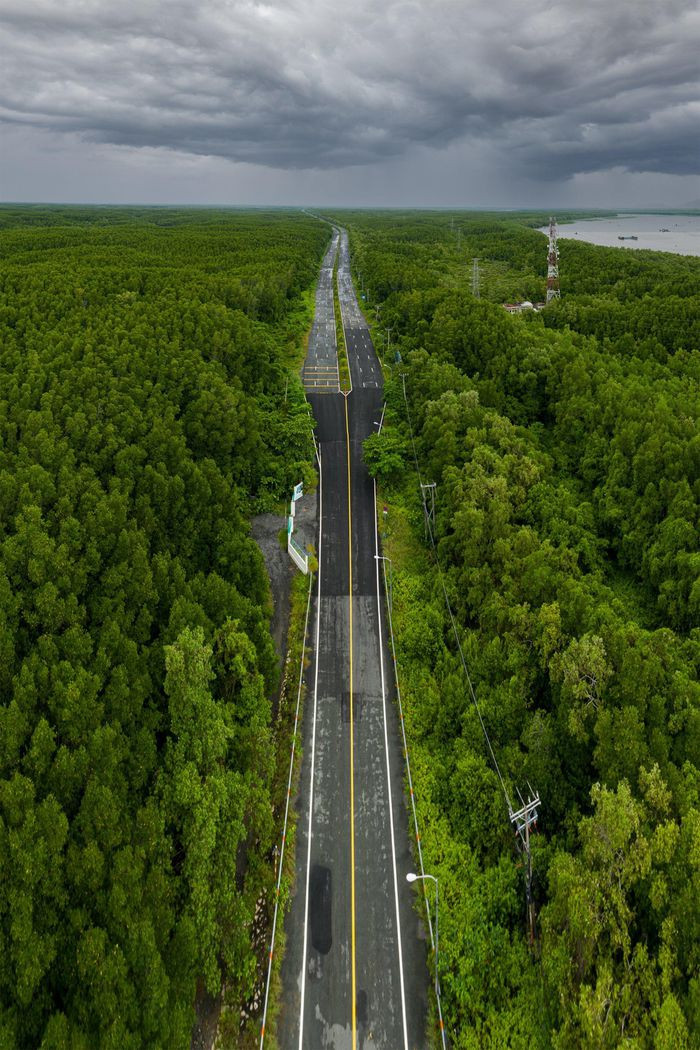 Bên cạnh đảo khỉ, chiến khu rừng Sác, khu du lịch Dần Xây, khu du lịch sinh thái Vàm Sát cũng là điểm dừng chân trong chuyến đi của du khách.