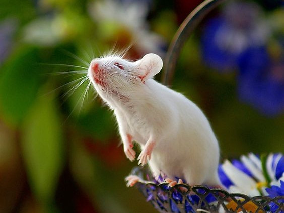 Đương nhiên, họ cũng cần bứt phá hơn nữa thì sẽ có thể nhìn thấy tương lai tươi đẹp hơn.