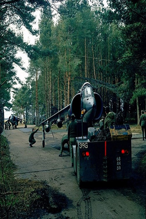 Hai chiến đấu cơ Hawker Siddeley Harrier GR1s xuất hiện tại một cuộc diễn tập thực địa có tên Snowy Owl năm 1972.