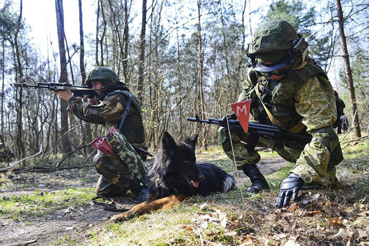Lính dù Nga – Belarus phố hợp rà phá bom mìn và vật liệu nổ (IED) tại khu vực tình nghi trong diễn tập. Nguồn ảnh: Bộ Quốc phòng Nga.