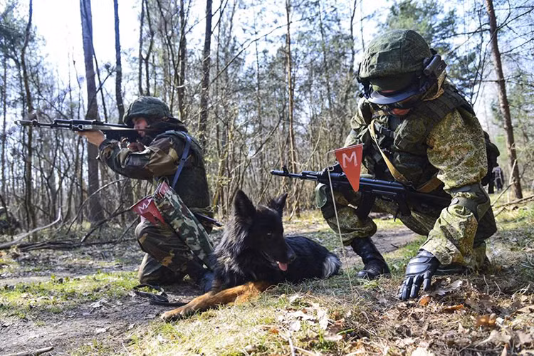Lính dù Nga – Belarus phố hợp rà phá bom mìn và vật liệu nổ (IED) tại khu vực tình nghi trong diễn tập. Nguồn ảnh: Bộ Quốc phòng Nga.