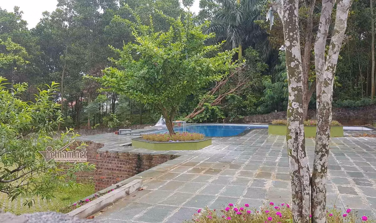 Bi an day biet thu moc tren dat rung o Vinh Phuc-Hinh-14