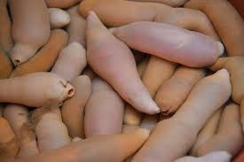 Ở Hàn Quốc, cá dương vật được gọi là Gaebul (개불) và được nhiều bạn trẻ Việt Nam biết đến nhờ bộ phim "Vì sao đưa anh tới", khi nữ diễn viên chính Chun Song Yi (Jun Ji Hyun) đòi ăn loại cá này cho bằng được.