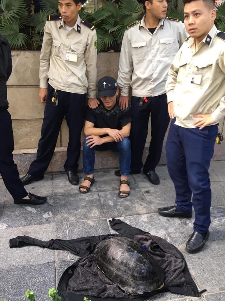 Qua đối chiếu với hình dáng mai (mai cứng), xem hình ảnh về cá thể rùa câu trộm ở Hồ Gươm, PGS.TS Hà Đình Đức nhận định đây là rùa núi nâu, không phải hậu duệ của "cụ rùa" Hồ Gươm.