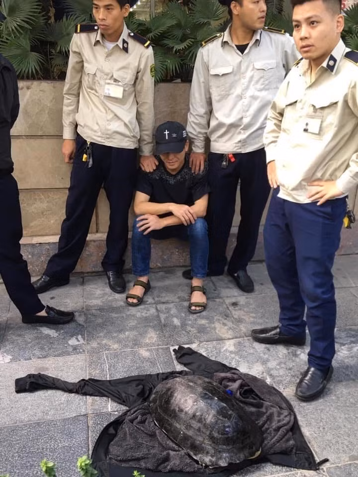 Qua đối chiếu với hình dáng mai (mai cứng), xem hình ảnh về cá thể rùa câu trộm ở Hồ Gươm, PGS.TS Hà Đình Đức nhận định đây là rùa núi nâu, không phải hậu duệ của "cụ rùa" Hồ Gươm.