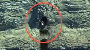 Bí ẩn hang động ở Nam Cực xuất hiện trên Google Maps bỗng biến mất Bi an hang dong o Nam Cuc xuat hien tren Google Maps bong bien mat