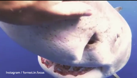 Ca map trang khong lo lao toi tho lan va dien bien cuc bat ngo