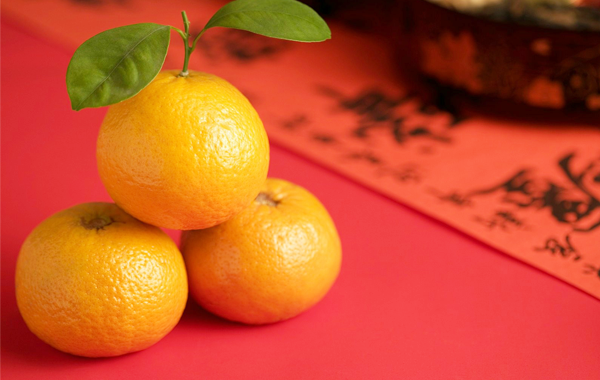 Đối với người dân Singapore, quả quýt vàng chín mọng được coi là biểu tượng cho sự thịnh vượng, may mắn và phát tài. Ảnh: datviettour.