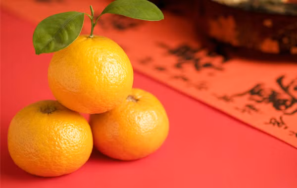 Đối với người dân Singapore, quả quýt vàng chín mọng được coi là biểu tượng cho sự thịnh vượng, may mắn và phát tài. Ảnh: datviettour.