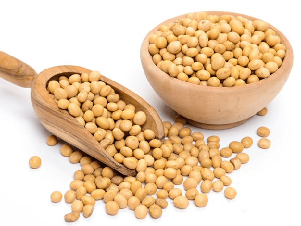 Đậu nành còn chứa nhiều vitamin A, B, D, E và một số axit amin thiết yếu giúp tăng cường độ đàn hồi cho da, ngăn chặn sắc tố trên da. Ảnh: daotaobeptruong.