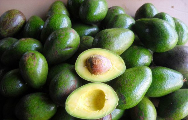 Chứa rất nhiều vitamin E, chất béo không bão hòa đơn, chất chống oxy hóa glutathione, quả bơ cũng không chỉ giúp chữa rạn da sau sinh hiệu quả mà còn ngăn chặn việc lão hóa sớm làn da, giúp da mịn màng, tươi trẻ. Ảnh: healthplus.