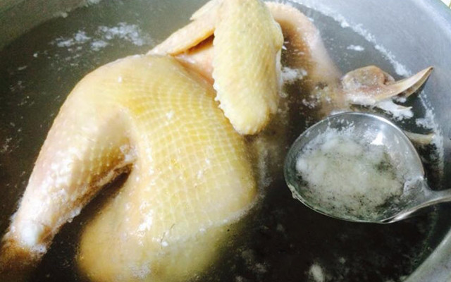 Khi luộc gà, bạn nên cho gà vào nồi ngay từ khi nước còn lạnh để thịt chín dần từ trong ra ngoài. Ảnh: googleusercontent.