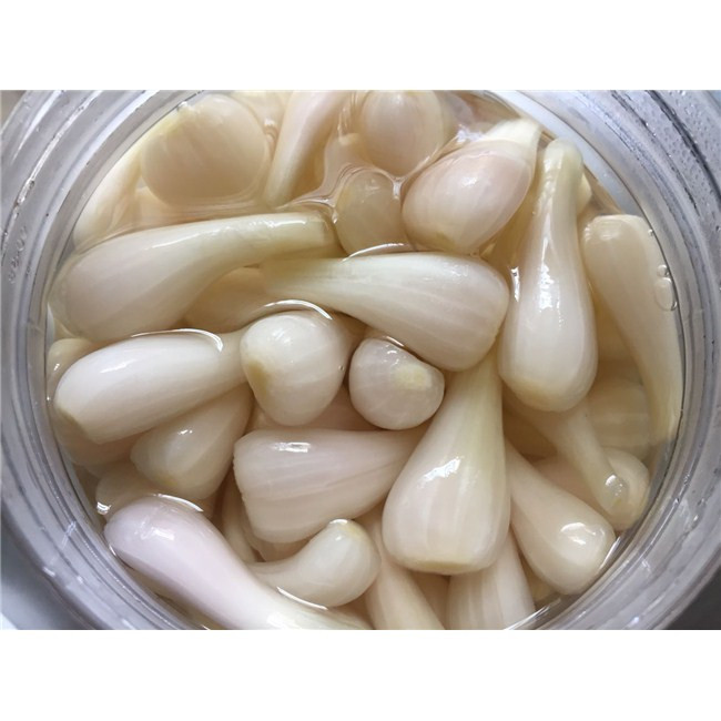 Trước khi đậy nắp hũ lại, bạn nên nén củ kiệu cho chặt và để nơi thoáng mát. Sau 3- 4 ngày là củ kiệu có thể ăn được. Ảnh: betomshop.