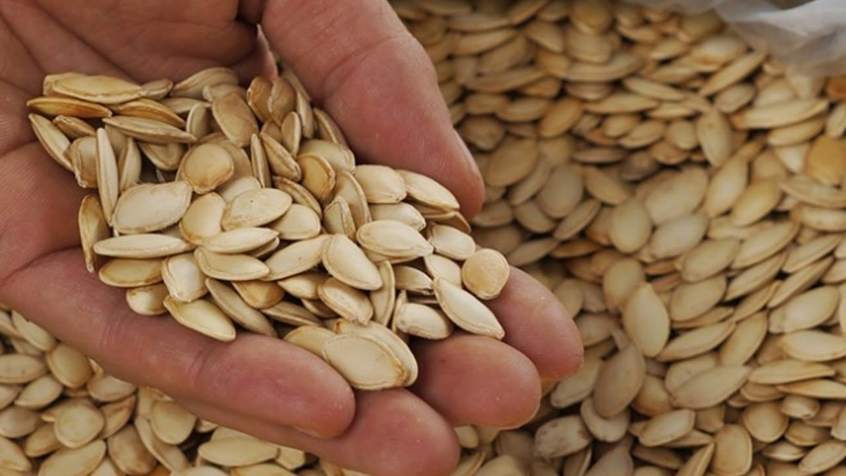 Hạt bí là một trong những loại hạt ngày Tết được ưa chuộng. Đây là thực phẩm có khả năng giảm huyết áp. Lý do là vì hạt bí chứa nhiều axit pantothenic - thành phần có khả năng làm giảm đau thắt ngực và hạ huyết áp. Ảnh: ytimg.