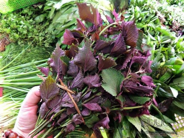 Cuối cùng, bạn xả lại với nước. Với cách này, bạn có thể thêm 2 củ sả vào đun cùng để có mùi hương dễ chịu, giải tỏa căng thẳng. Ảnh: babaucanbiet.