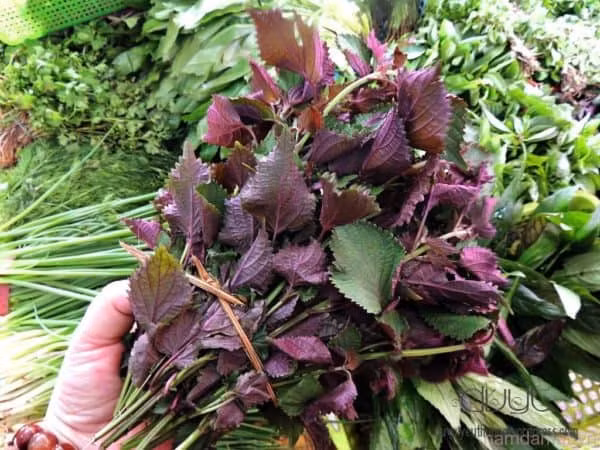 Cuối cùng, bạn xả lại với nước. Với cách này, bạn có thể thêm 2 củ sả vào đun cùng để có mùi hương dễ chịu, giải tỏa căng thẳng. Ảnh: babaucanbiet.