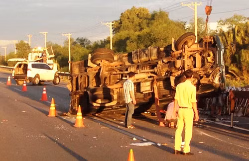 TPHCM: Hy huu o to con 