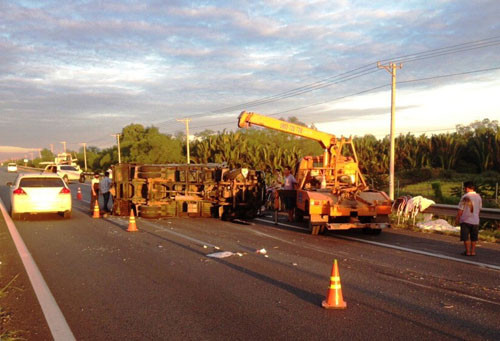 TPHCM: Hy huu o to con 