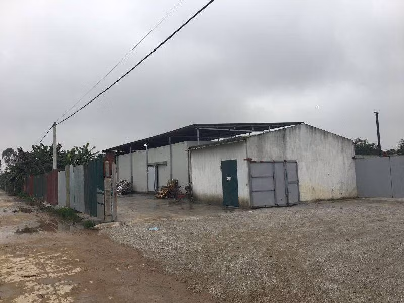 Hai Duong: Phat hien kho chua 50 tan noi tang dong vat khong ro nguon goc-Hinh-4