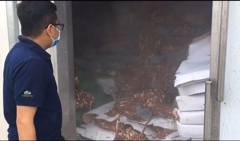 Hai Duong: Phat hien kho chua 50 tan noi tang dong vat khong ro nguon goc