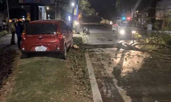 Hai Duong: Xe o to bat ngo lao len via he, lai xe tu vong tai cho