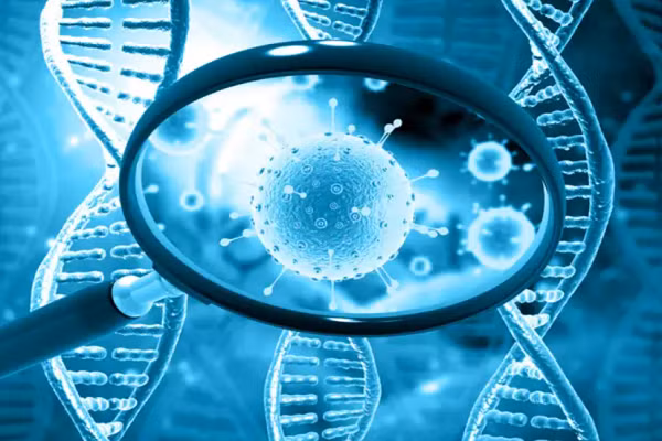 4 cau hoi lon ve bien chung moi XE