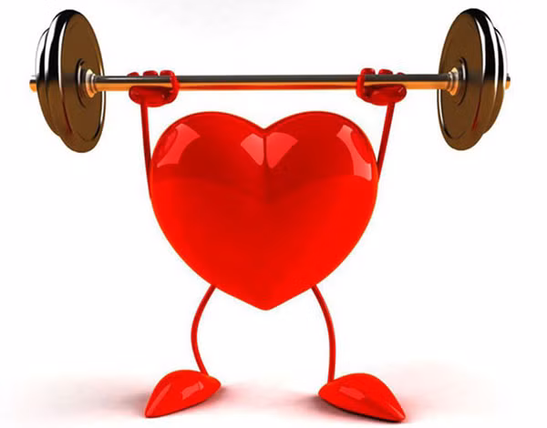 Không chỉ có lợi cho cơ bắp, các nhà khoa học nhận thấy loại rau giàu nitrat còn rất hữu ích với sức khỏe tim mạch. Kết quả nghiên cứu được công bố trên Tạp chí Sinh học Ứng dụng cho thấy, những người mắc bệnh động mạch ngoại biên uống nước ép củ cải đường hàng ngày có thể đi bộ thêm 18% độ dài quãng đường mà trước đây họ có thể đi.