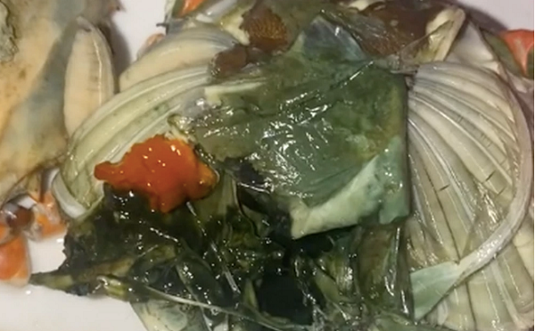 Mang cua. Tương tự cá, cua sống dưới nước, có phần mang để hô hấp duy trì sự sống. Phần mang này gồm những mô mềm màu xám, giống như hai hàng lông mày nằm ngay dưới mai cua.