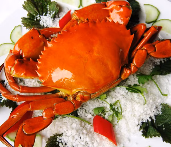 Thực tế, “tim” cua là bộ phận quan trọng trong tuần hoàn máu. Nó không chứa ký sinh trùng song hương vị không mấy hấp dẫn, nhiều người không hứng thú.