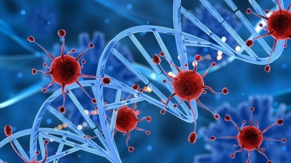 Khi đi vào cơ thể, formaldehyde gây kích ứng niêm mạc đường hô hấp, mắt; gây ra các triệu chứng như ho, hen suyễn, hắt hơi, đau họng, thậm chí gây ung thư vòm họng. Năm 2004, Cơ quan Nghiên cứu Ung thư Quốc tế phân loại formaldehyde là một trong những chất gây ung thư. (Ảnh minh họa)