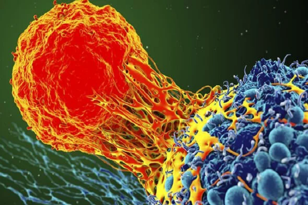 Triệu chứng phổ biến cảnh báo ung thư nhưng thường bị bỏ qua - Hình 2 Trieu chung pho bien canh bao ung thu nhung thuong bi bo qua-Hinh-2