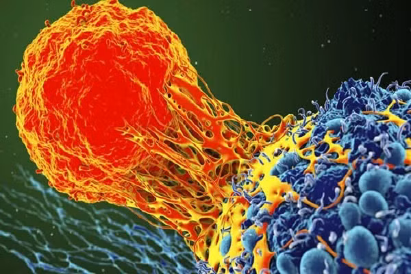 Triệu chứng phổ biến cảnh báo ung thư nhưng thường bị bỏ qua - Hình 2 Trieu chung pho bien canh bao ung thu nhung thuong bi bo qua-Hinh-2