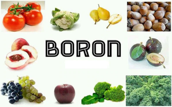 Boron có mặt trong các thực phẩm như anh đào, bơ, nho, lê, táo, cam…; các loại đậu như đậu xanh, đậu tây, đậu Lima; các loại hạt như hạt óc chó, quả sung; các thức uống như cà phê, rượu vang cũng đều có lượng nhỏ boron.