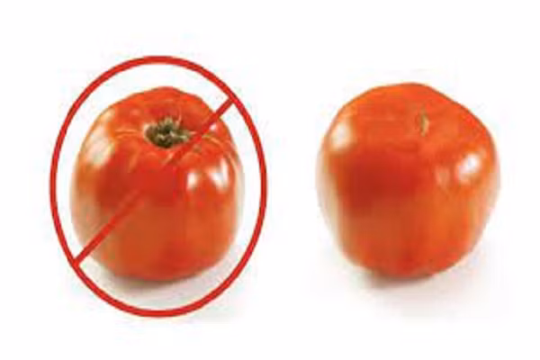 Có nên bảo quản cà chua trong tủ lạnh? Câu trả lời kinh ngạc - Hình 3 Co nen bao quan ca chua trong tu lanh? Cau tra loi kinh ngac-Hinh-3