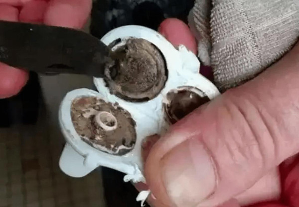 Không riêng Tiểu Chu, nhiều phu huynh cẩn thận chọn mua cho con bình đựng nước đắt tiền, đạt chuẩn song lại không chú ý khâu vệ sinh. Chất bẩn tích tụ lâu ngày uy hiếp sức khỏe trẻ.