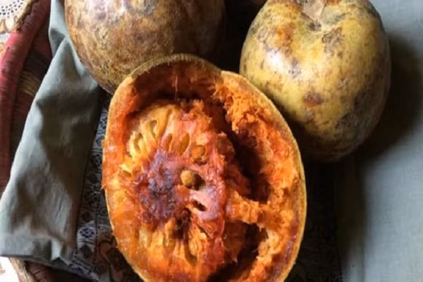 Trái quách. Loại quả thơm này có tính mát tự nhiên, vị chua thanh. Bạn có thể ăn hoặc chế biến thành nước trái cây hoặc nước ép.