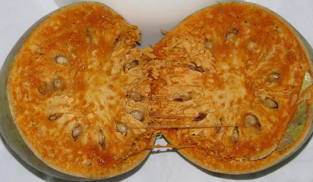 Cách làm: Dùng thìa múc phần thịt mềm ra khỏi quả và thêm một cốc nước. Ngâm hỗn hợp này trong 20 phút. Bạn có thể lọc hỗn hợp hoặc sử dụng luôn. Sau đó, thêm 2 muỗng đường thốt nốt, 1 muỗng cà phê bột thì là rang, 1/2 muỗng cà phê bột bạch đậu khấu và hai nhúm muối đen. Trộn đều và thưởng thức. (Ảnh: Wikipedia)