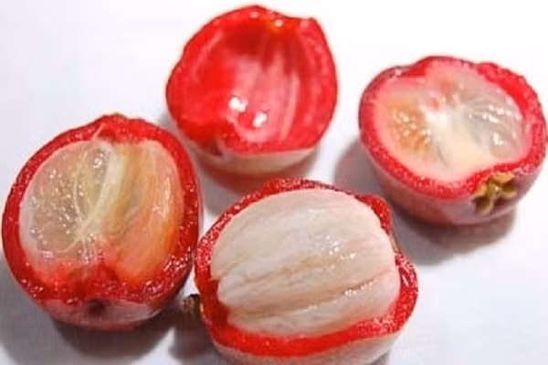 Quả Kokum. Loại quả này kích thích sự thèm ăn và cải thiện tiêu hóa. Nó có thể được thêm vào khi nêm món cà ri hoặc nước trái cây. (Ảnh minh họa)