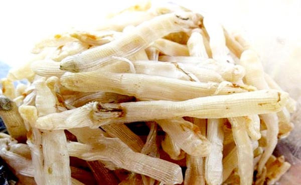 Một trong những cách dùng sá sùng khô phổ biến nhất là dùng làm nguyên liệu ninh nước dùng. Lúc này, người nấu sẽ rang nóng rồi cho vào túi lọc nhỏ trong nồi nước lèo.