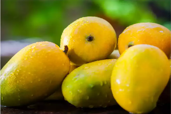 Xoài. Xoài chứa hơn 20 loại vitamin và khoáng chất khác nhau, khiến chúng trở thành một siêu thực phẩm. Theo các chuyên gia, 96 g xoài cung cấp 50% lượng vitamin C hàng ngày, 8% vitamin A và 8% vitamin B6. (Ảnh: istock)