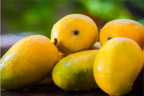 Xoài. Xoài chứa hơn 20 loại vitamin và khoáng chất khác nhau, khiến chúng trở thành một siêu thực phẩm. Theo các chuyên gia, 96 g xoài cung cấp 50% lượng vitamin C hàng ngày, 8% vitamin A và 8% vitamin B6. (Ảnh: istock)