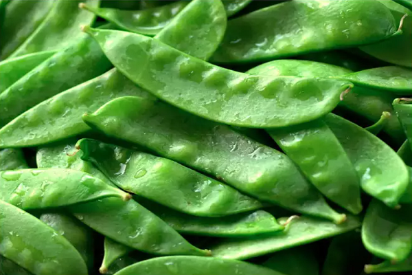 Đậu tuyết. Ngoài tác dụng dưỡng ẩm, đậu tuyết còn rất giàu vitamin C giúp bảo vệ da khỏi cháy nắng và cũng hỗ trợ sản xuất collagen. (Ảnh: istock)