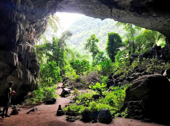 Vườn quốc gia Phong Nha - Kẻ Bàng sở hữu các cao nguyên đá vôi, rừng nhiệt đới, hang động, hệ sinh thái phong phú cùng nhiều loài sinh vật đa dạng. Đây là vườn quốc gia duy nhất ở Việt Nam được UNESCO 2 lần công nhận là Di sản thiên nhiên thế giới ở tiêu chí địa chất địa mạo và đa dạng sinh học. Ảnh: Colazzo.