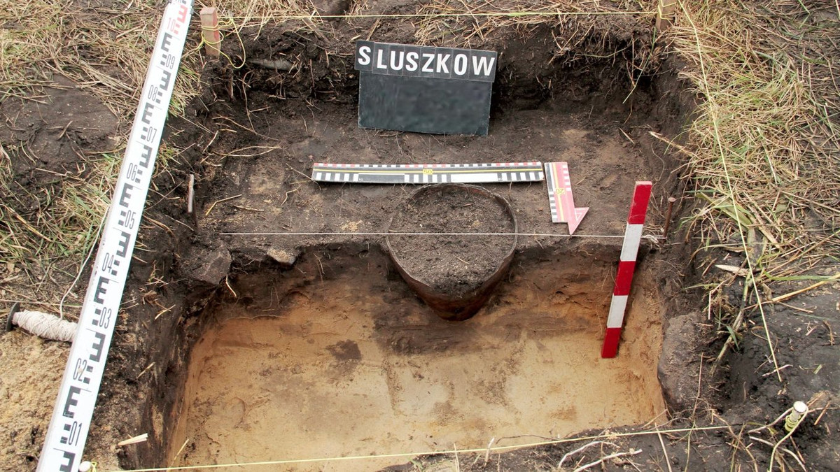 Kết quả là họ tìm thấy một chiếc bình gốm chứa kho báu khổng lồ thời Trung cổ tại cánh đồng ngô ở Słuszków. Chiếc bình này được chôn cách mặt đất khoảng 30 cm. Sau khi tìm thấy vị trí kho báu, ông Kdzierski và các chuyên gia khảo cổ tiến hành khai quật toàn bộ cổ vật.