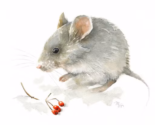 Những chú chuột không chỉ gặt hái được "quả ngọt" cho những nỗ lực công sức mà mình bỏ ra trong công việc, bạn còn có khả năng nhận lại được một khoản tiền bạc vô cùng lớn. Những người tuổi Tý sẽ có cơ hội thăng quan phát lộc.