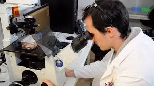 Vì vậy, sau hàng nghìn năm, carbon-14 sẽ bị phá vỡ. Một trong các neutron của nó tách thành một proton và một electron. Trong khi electron thoát ra, proton vẫn là một phần của nguyên tử. Với một neutron ít hơn và một proton nữa, đồng vị này phân rã thành nitơ.