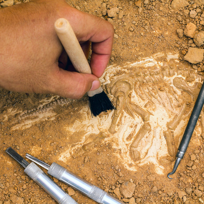 Dạng phổ biến nhất của carbon có 6 neutron thì cacbon-14 có thêm 2 neutron. Điều đó làm cho đồng vị nặng hơn và kém ổn định hơn nhiều so với dạng carbon phổ biến nhất.